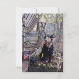 Häx kostym bok Rolig hund foto kort