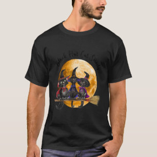 Häxa Svart Hatt Katt Sällskap Halloween T Shirt