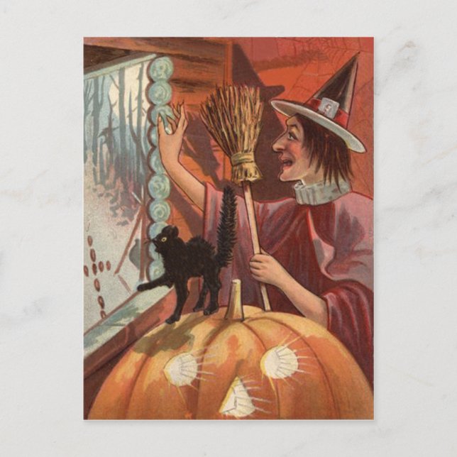 Häxa Svart Katt Jack O Lantern Pumpa Vykort (Framsida)