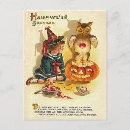 Häxa Uggla Jack O Lantern Pumpa Vykort