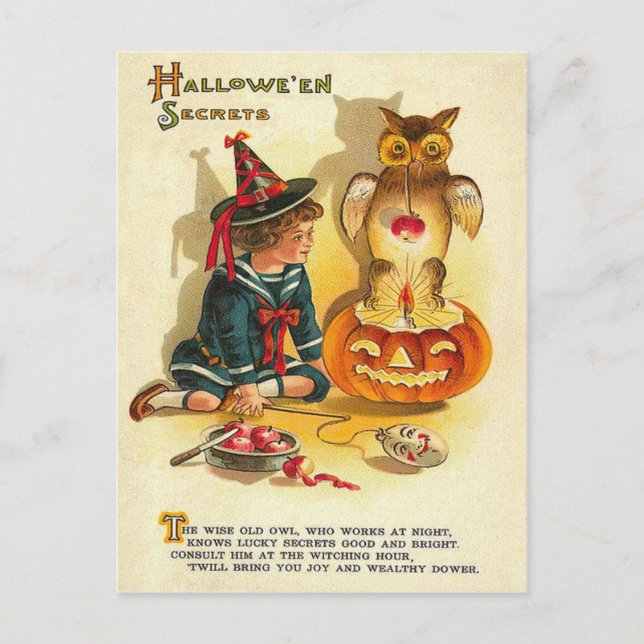 Häxa Uggla Jack O Lantern Pumpa Vykort (Framsida)