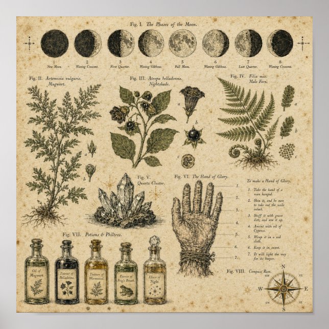 Häxcore Månfaser Botanisk Tallrik Poster (Framsidan)
