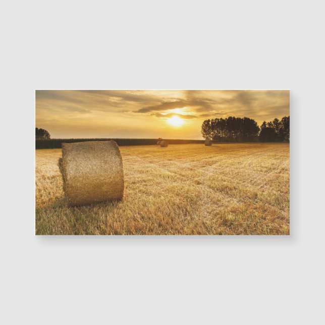 Hay (Framsida)