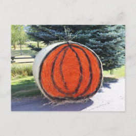 HAY BALE PUMPKIN VYKORT