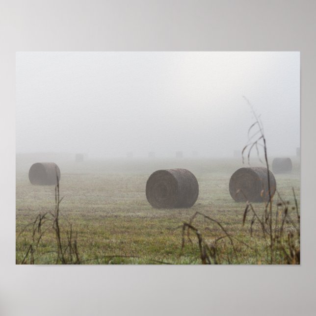 Hay Bales in fog Poster (Framsidan)