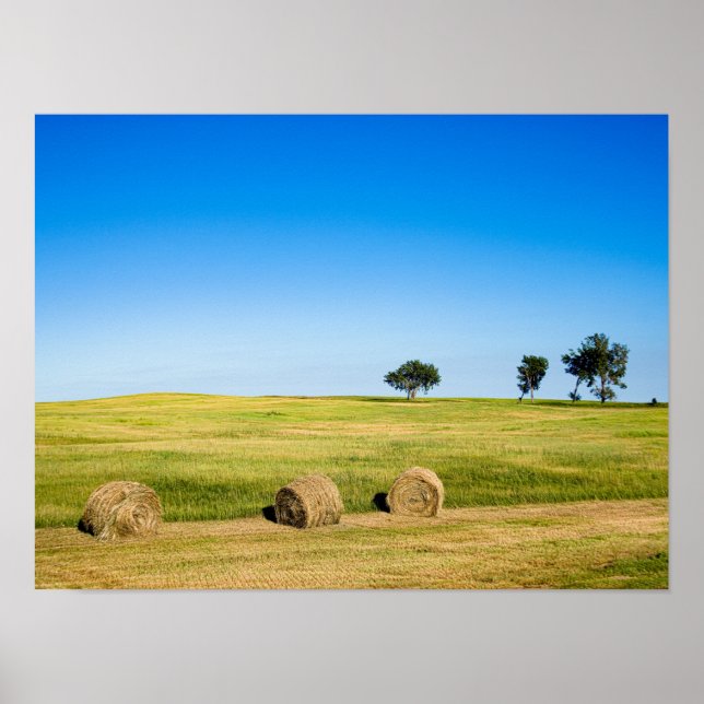 Hay Bales in Nebraska Poster (Framsidan)