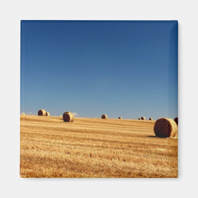 Hay Bales Magnet (Framsidan)
