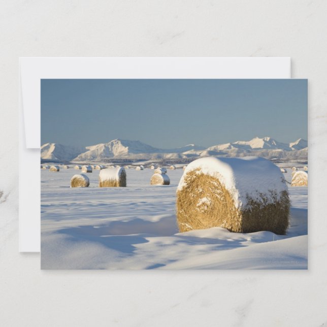 Hay Bales med snö (Framsida)