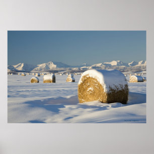Hay Bales med snö Poster