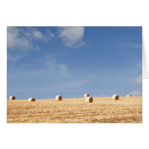 Hay Bales på Fält OBS Kort