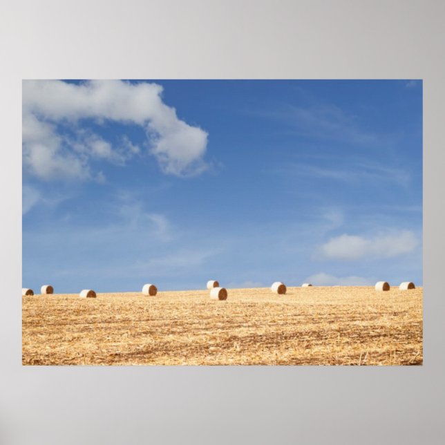 Hay Bales på Fält Poster (Framsidan)