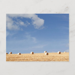 Hay Bales på Fält Vykort