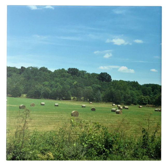 Hay Bales, Wytheville, Virginia Kakelplatta (Framsidan)