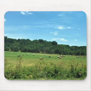 Hay Bales, Wytheville, Virginia Musmatta
