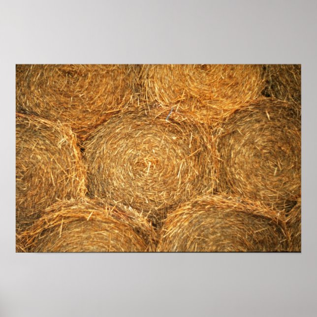 Hay bollar poster (Framsidan)