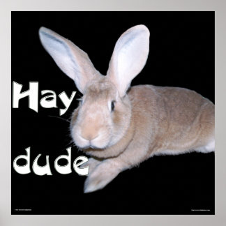 Hay Boy Poster