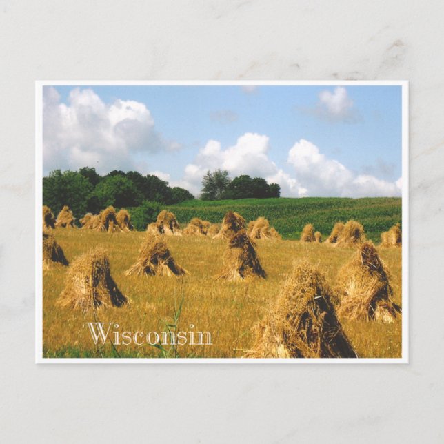 Hay Fält Vykort (Framsida)