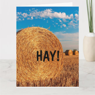 HAY FUNNY PUN HEJ Greeting Cards Kort