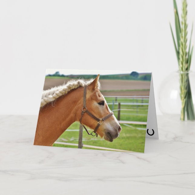 Hay Girl Grattis på födelsedagen Horse Kort (Framsida)