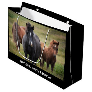Hay Girl Grattis på födelsedagen Horse Large Gif