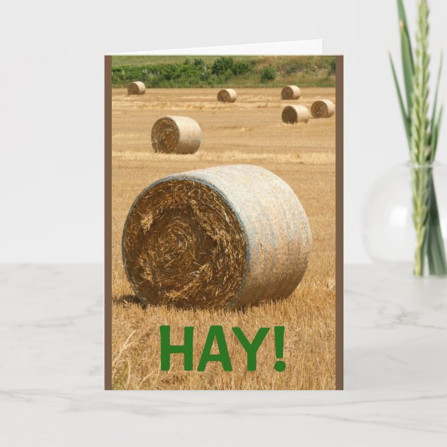 HAY! Grattis på födelsedagen Kort (Framsida)