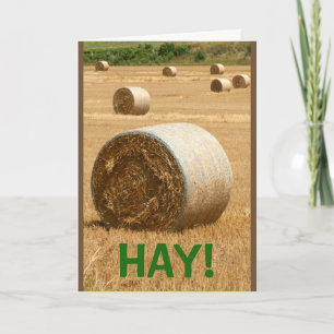 HAY! Grattis på födelsedagen Kort