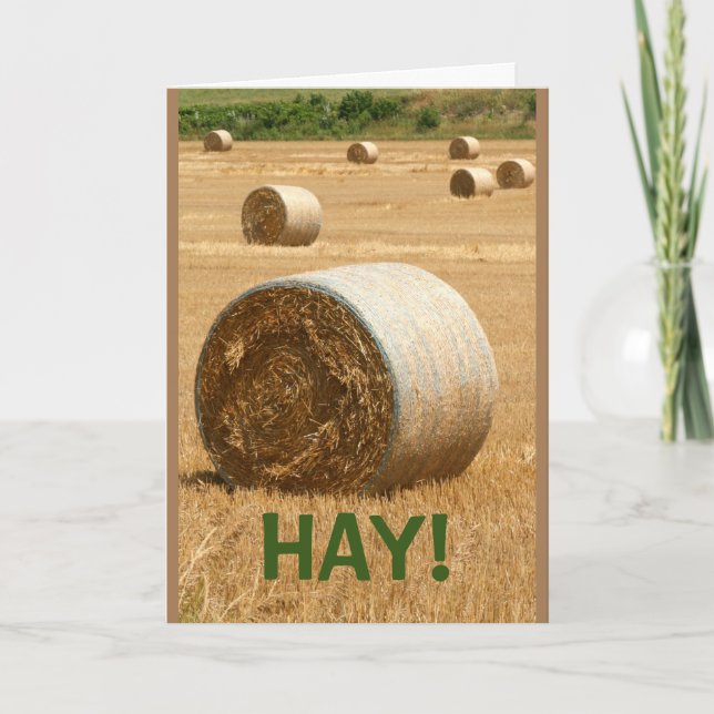 HAY! Kom snart Kort (Framsida)