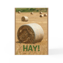 HAY! Kom snart