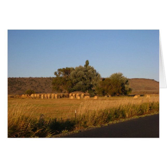 Hay OBS Kort (Framsidan Horizontal)