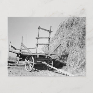 Hay stack och vagn - 1939. vykort