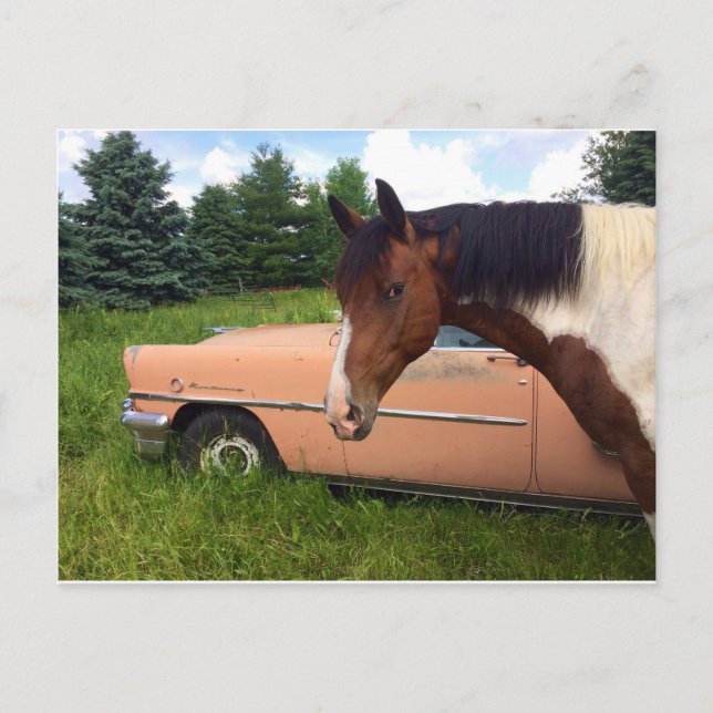 Hay! Vykort (Framsida)