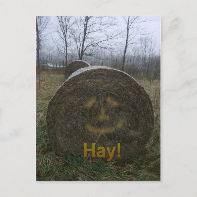 Hay! Vykort (Framsida)