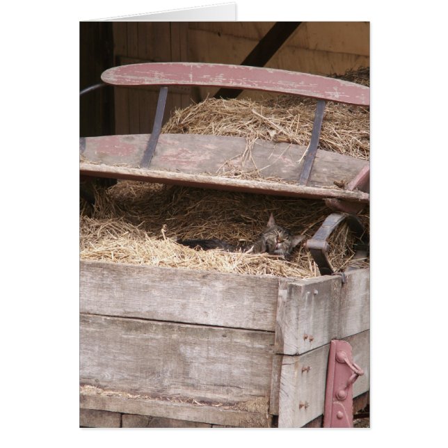 Hay Wagon Hälsningskort (Framsidan)