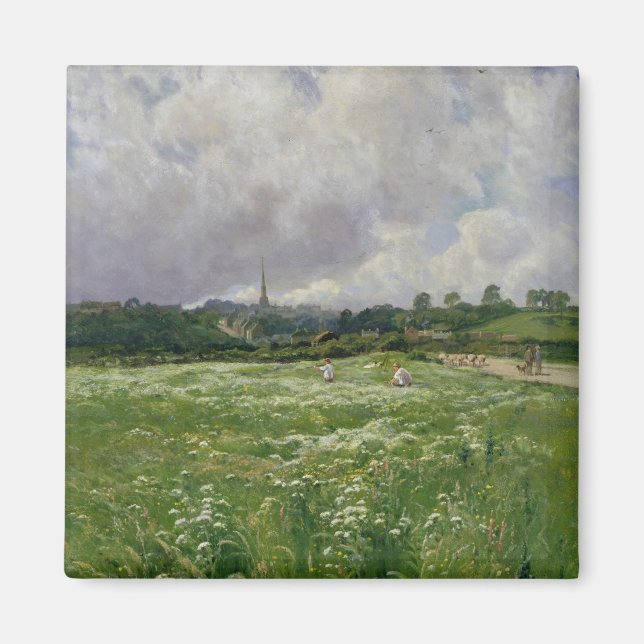 Hayaking Magnet (Framsidan)