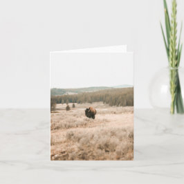 Hayden Valley -- 4" x 5.6" Notecard Kort