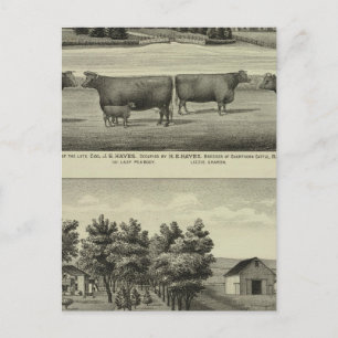 Hayes, Olathe och Ellis bostad och gård Vykort