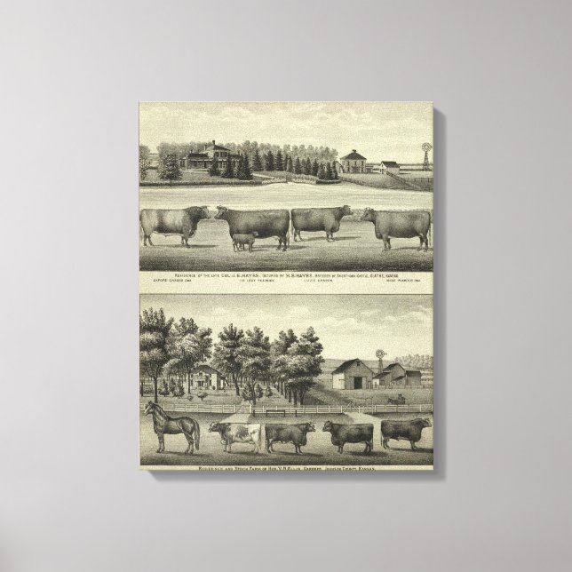 Hayes, Olathe och Ellis Residence and Farm Canvastryck (Framsida)