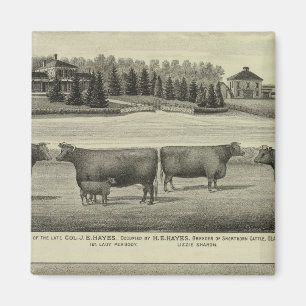 Hayes, Olathe och Ellis Residence and Farm Magnet