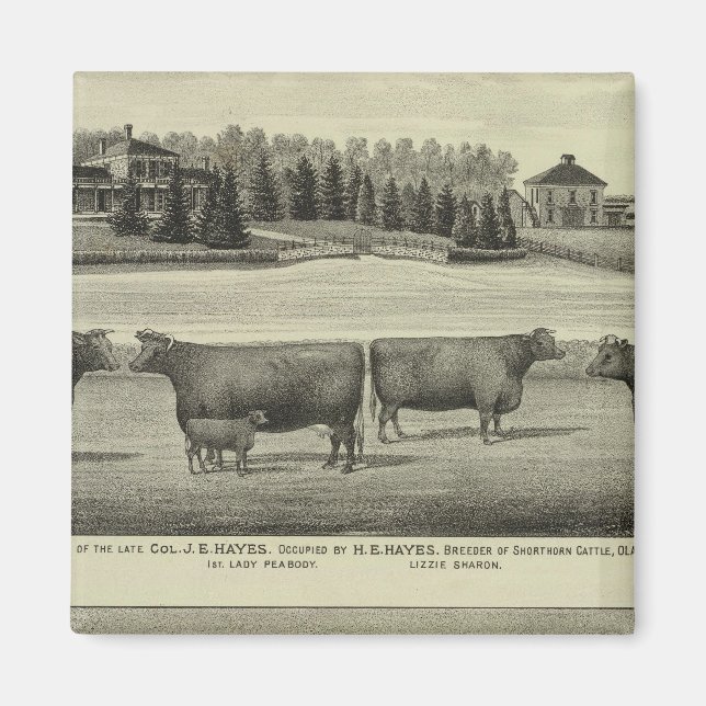 Hayes, Olathe och Ellis Residence and Farm Magnet (Framsidan)