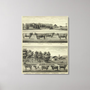 Hayes, Olathe, och Ellis uppehåll och lantgård Canvastryck