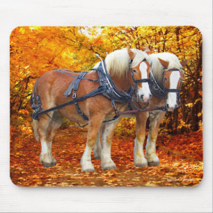 "Hayride Team" Musmatta