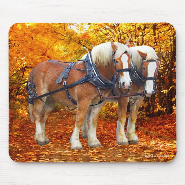 "Hayride Team" Musmatta (Framsidan)