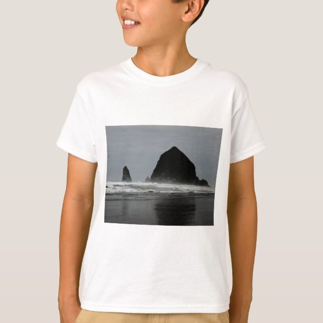 Haystack Sten Tee (Framsida)