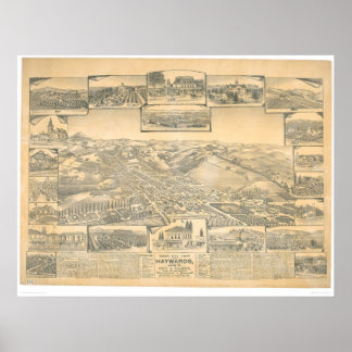 Hayward, CA. Panoramisk Karta (0696A) Poster