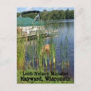 Hayward, Wisconsin Postcard Vykort