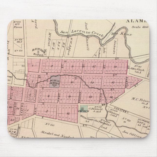 Haywards Musmatta (Framsidan)