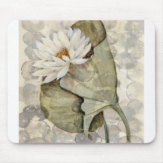 HAZ23 Amazonia 1.tif Musmatta (Framsidan)