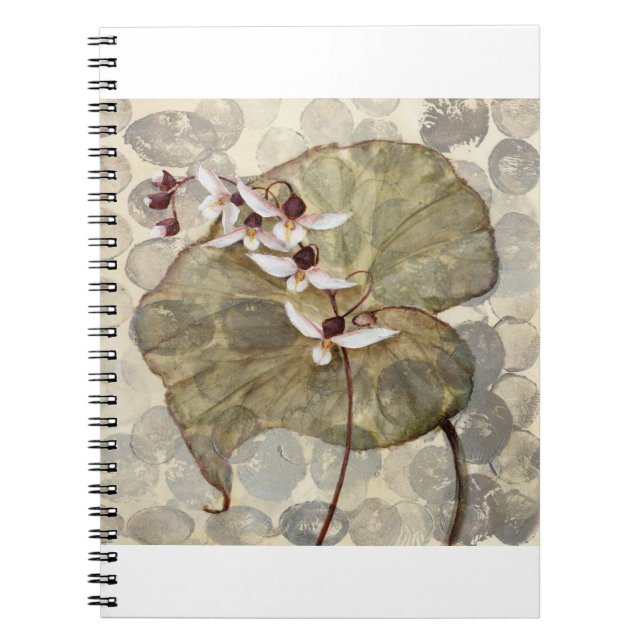 HAZ24 Amazonia 2.tif Anteckningsbok (Framsidan)