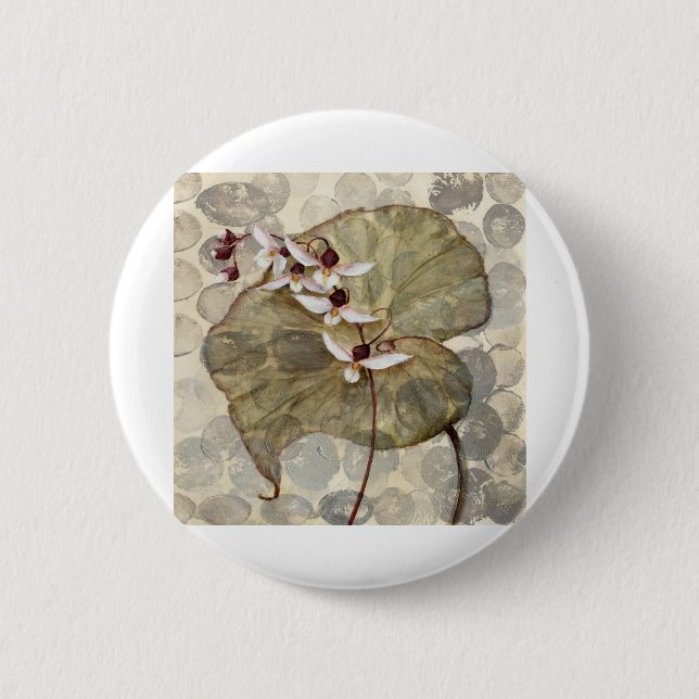 HAZ24 Amazonia 2.tif Knapp (Framsida)