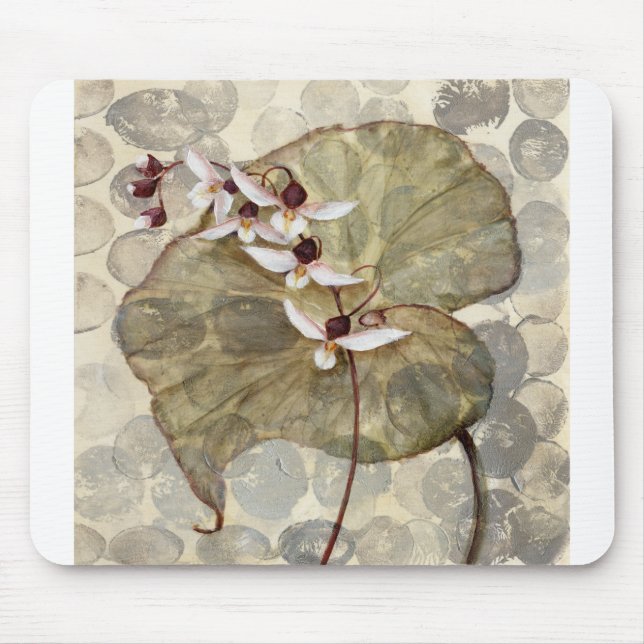 HAZ24 Amazonia 2.tif Musmatta (Framsidan)